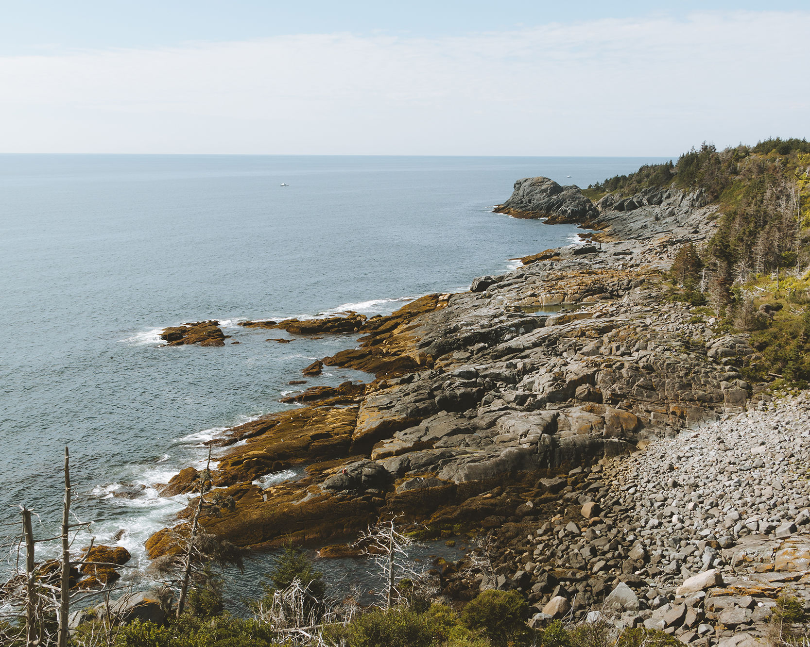 Cliffs at Whitehead - Monhegan Island, Maine - Matt Grandbois
