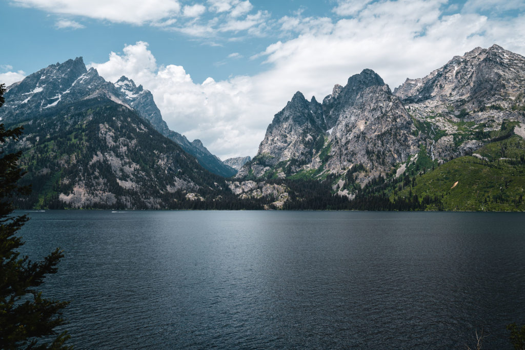 Jenny Lake - Matt Grandbois