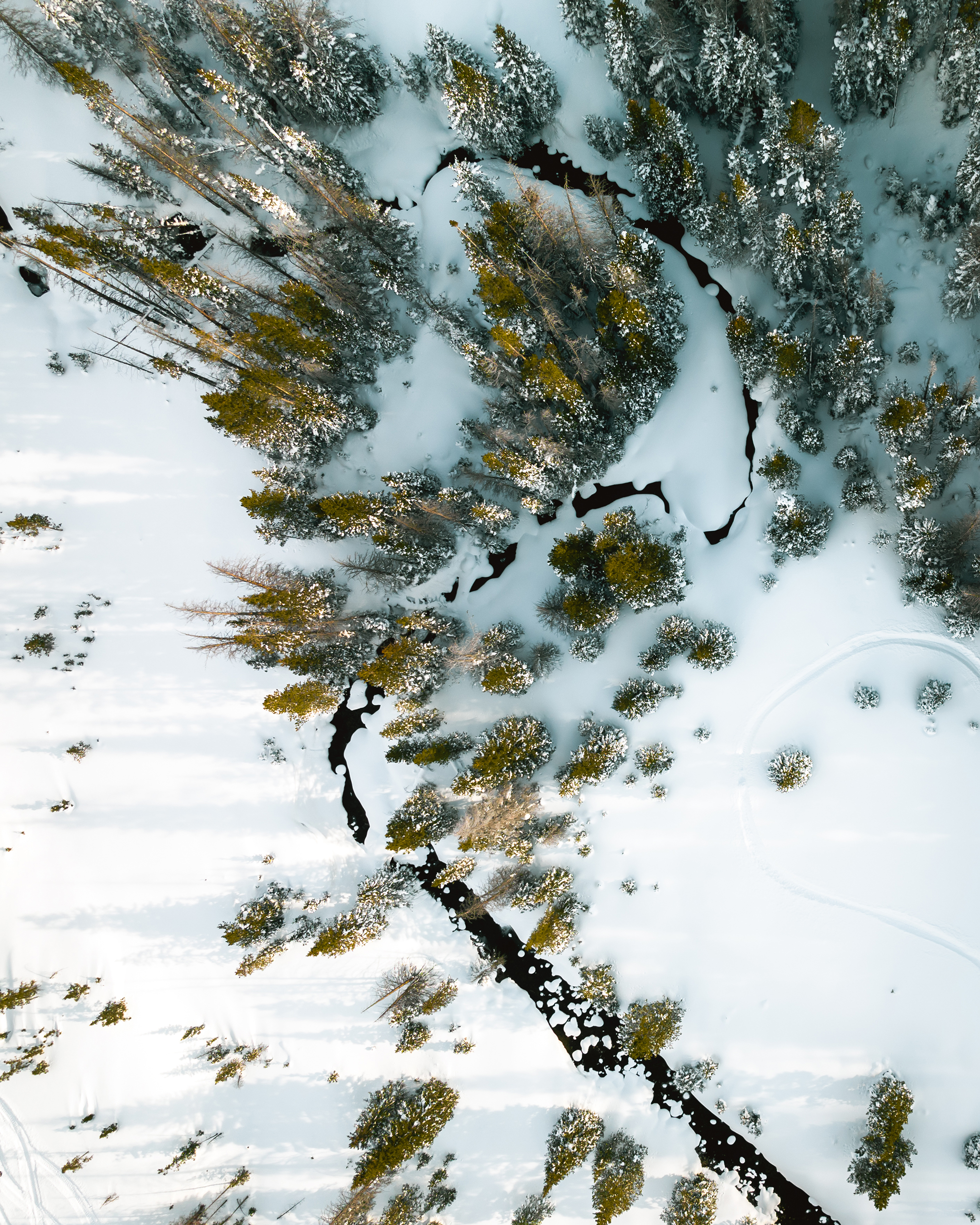 Cameron pass Colorado winter frozen stream | Matt Grandbois