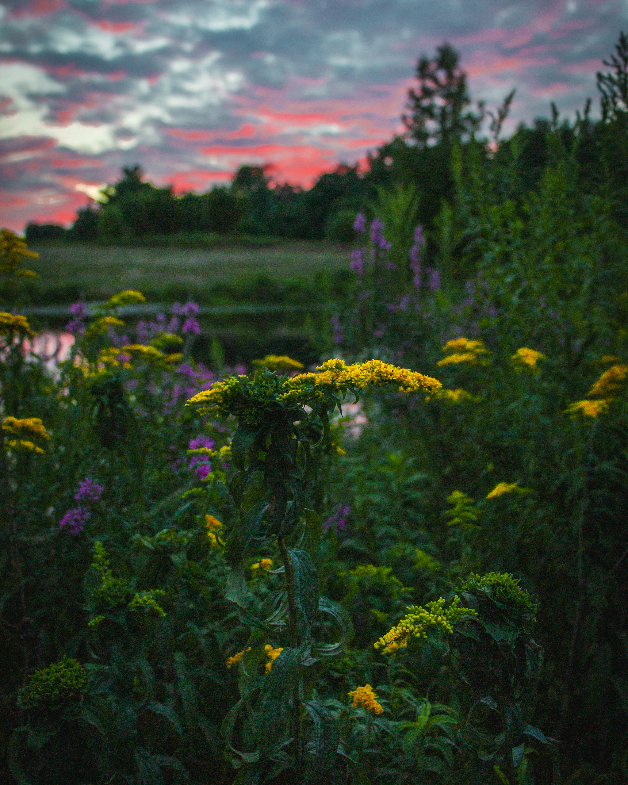 great brook farm state park at sunset | Matt Grandbois