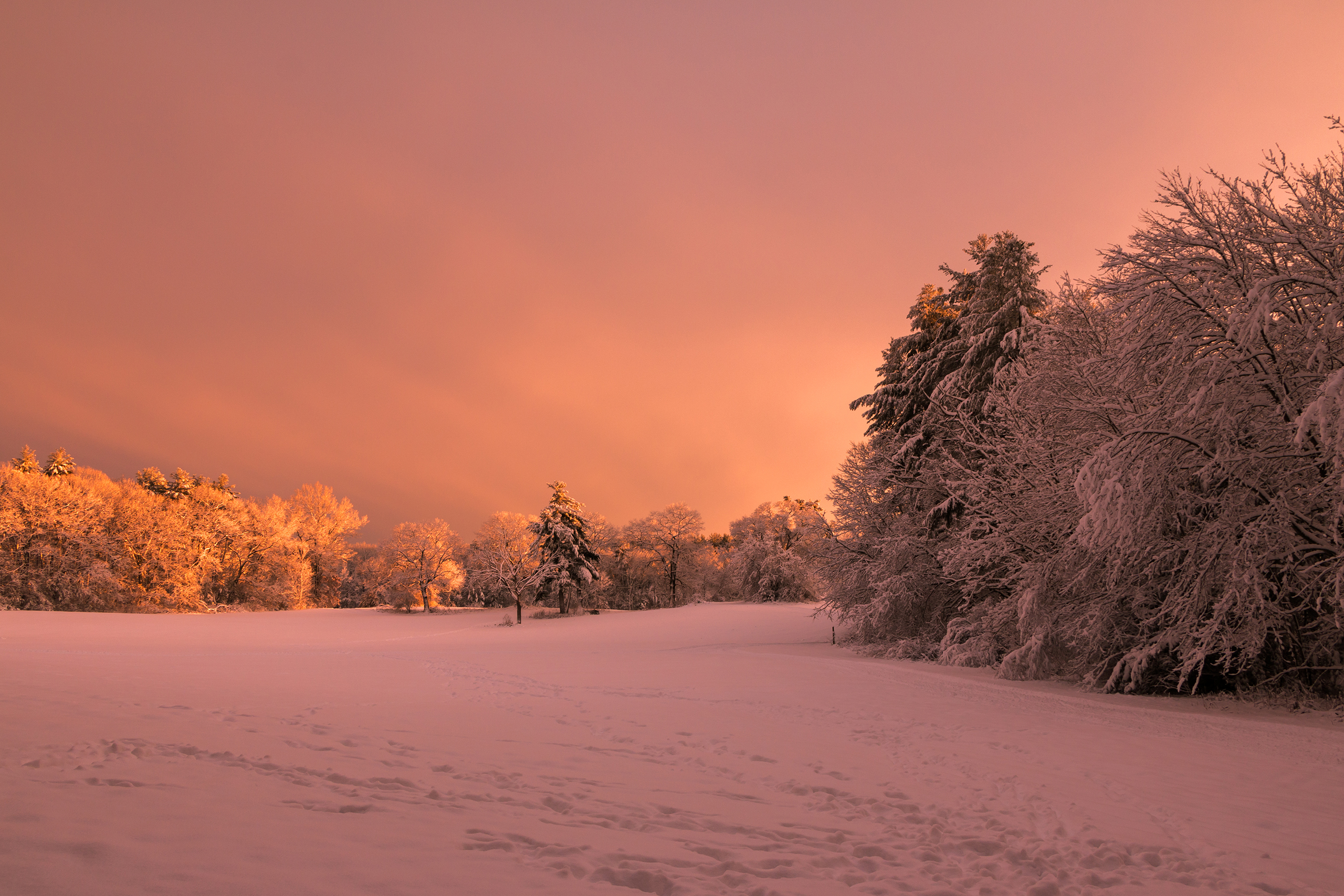 great brook farm state park Massachusetts at sunset in winter | Matt Grandbois