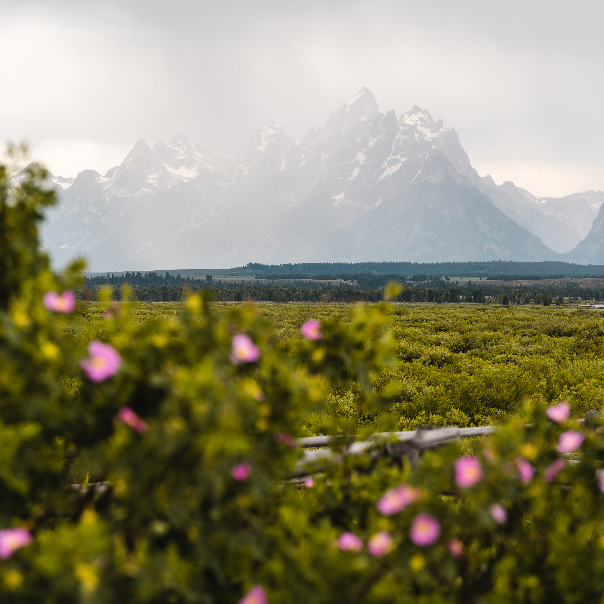 Matt Grandbois / 10 Best Things to Do in Grand Teton National Park