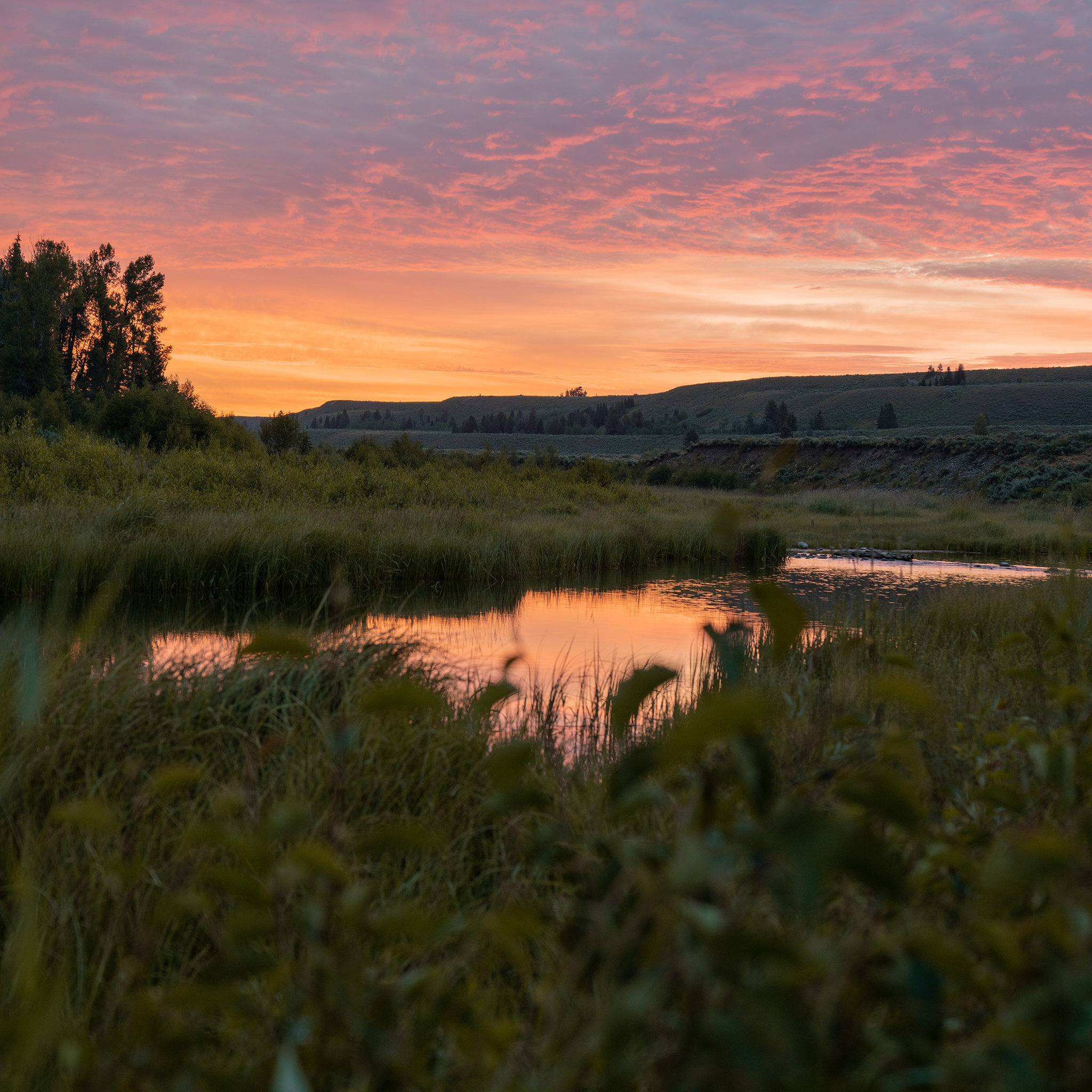 Matt Grandbois / 10 Best Things to Do in Grand Teton National Park