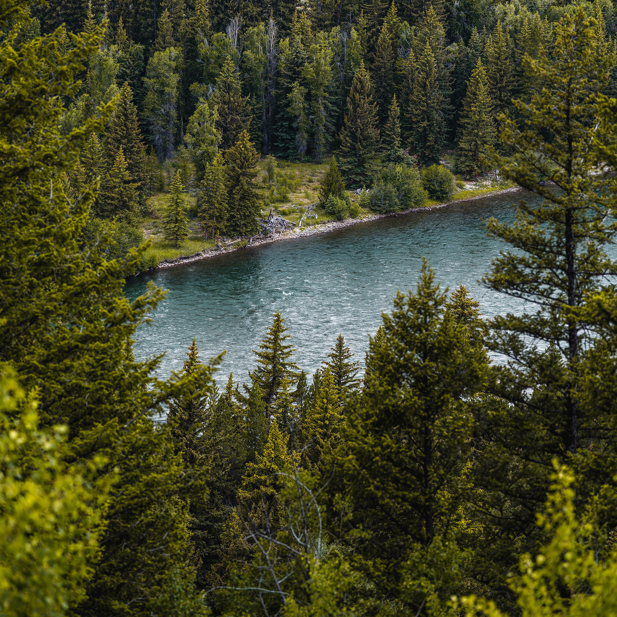 Matt Grandbois / 10 Best Things to Do in Grand Teton National Park